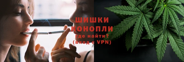 гидра Ладушкин
