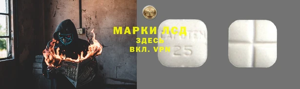 сатива Куйбышев