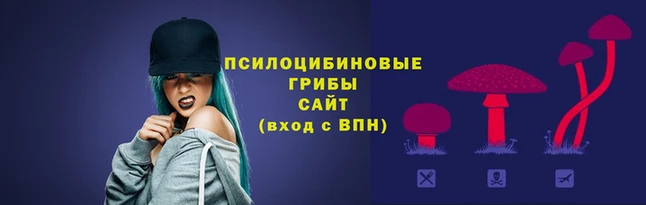 гидра Ладушкин