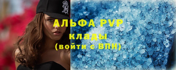 сатива Куйбышев