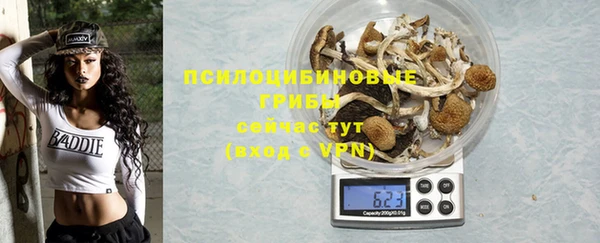 сатива Куйбышев