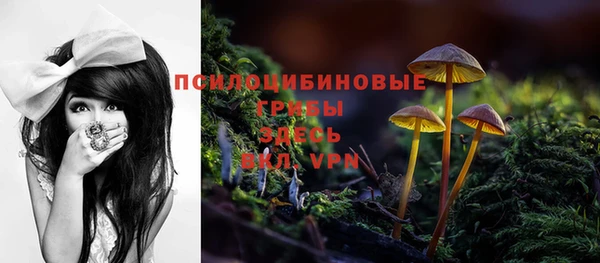 ПСИЛОЦИБИНОВЫЕ ГРИБЫ Кукмор
