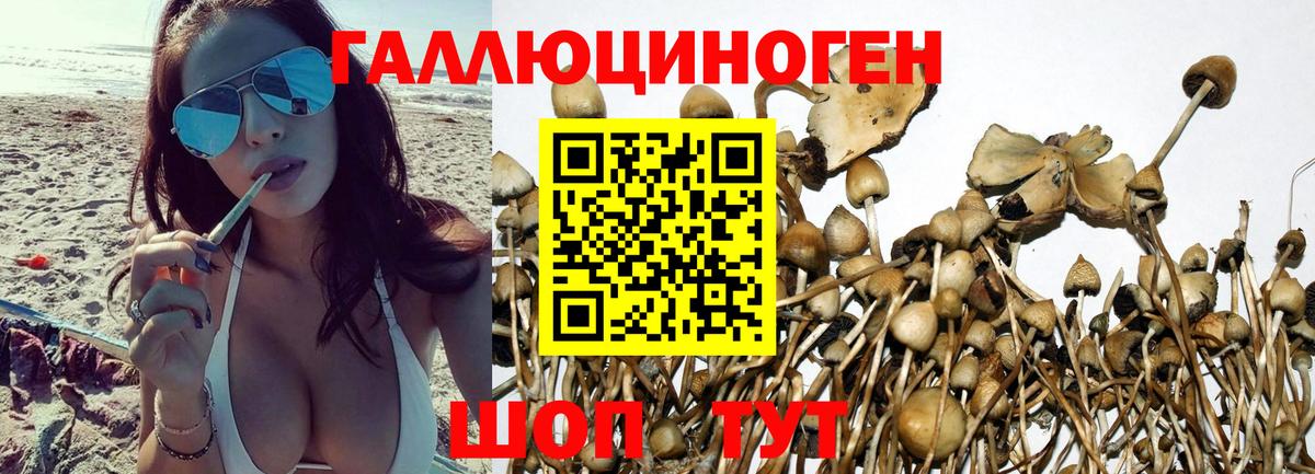 Галлюциногенные грибы Magic Shrooms Углич